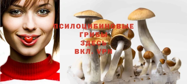 мескалин Липки