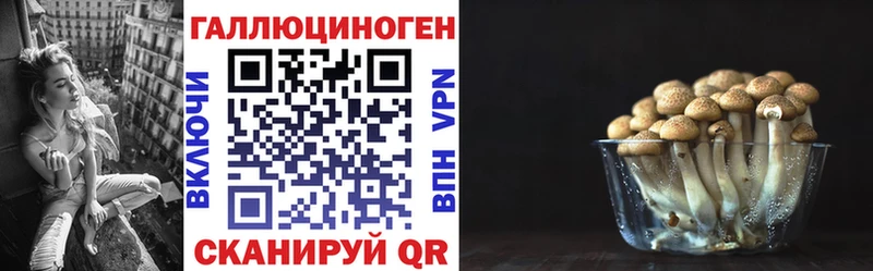 Псилоцибиновые грибы мицелий  Шарья 